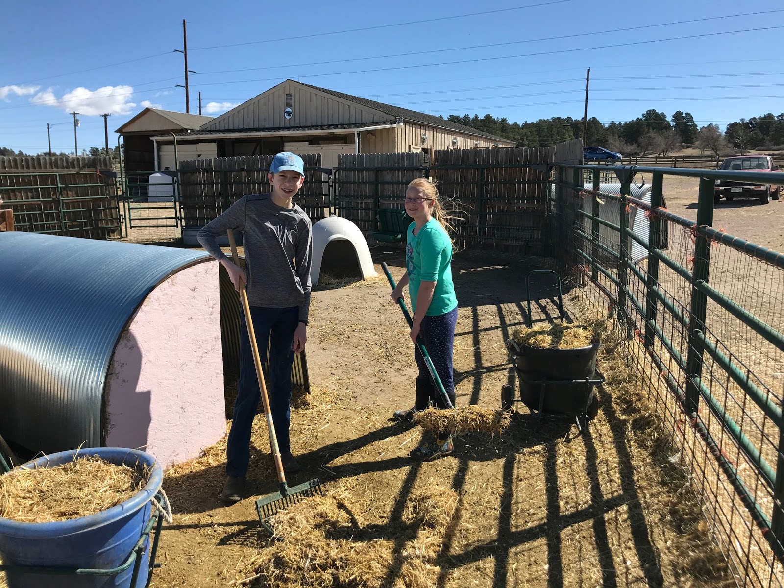 Animal Antics Fun With Rescued Animals Cleaning The Goat Pen Animal Antics Fun With Rescued Animals Cleaning The Goat Pen