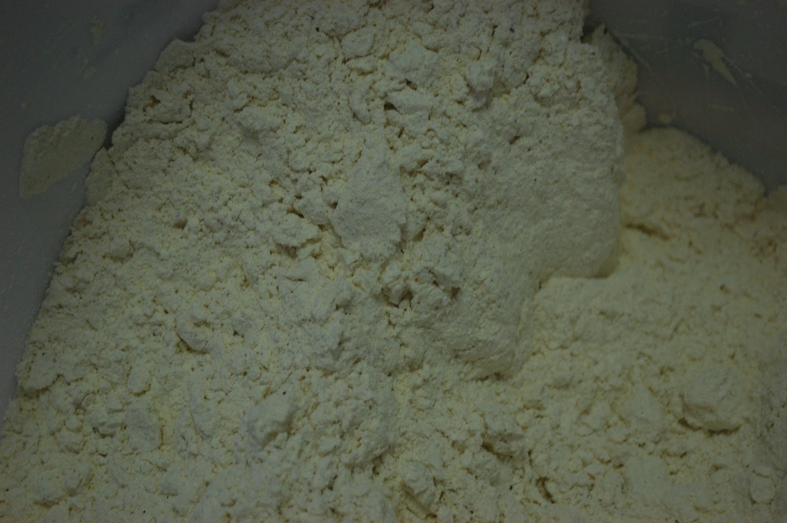 Saltbox House Creations Bean Flour (gluten free)