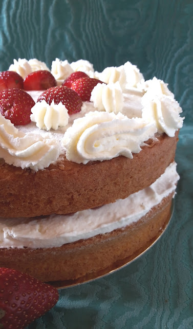 Queen Of Sponge Cakes Winner Queen Of Sponge Cakes Winner