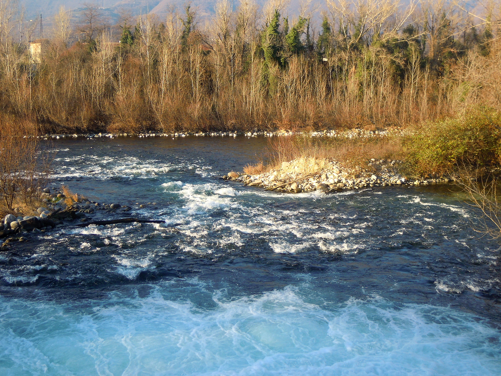 Emozioni, Natura e Passione... Fiume Brenta Disastro Ambientale Gli