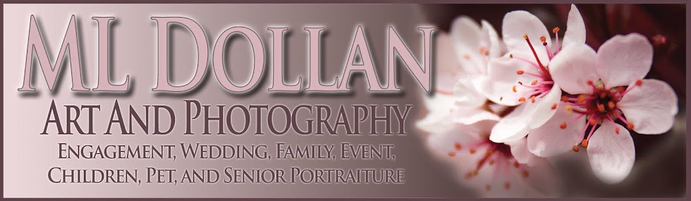 ML Dollan Art & Photography