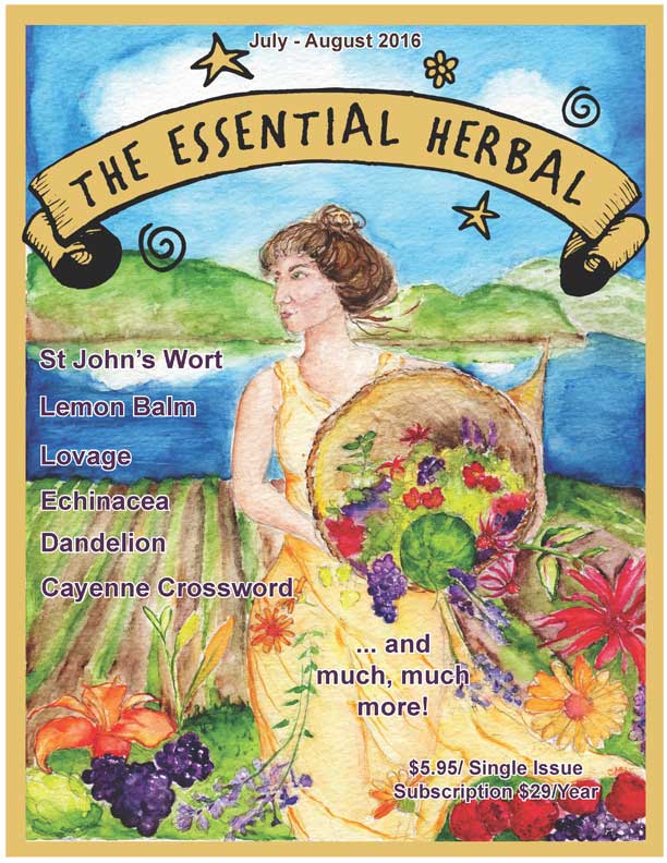 The Essential Herbal Blog July/August 2016 issue Essential Herbal