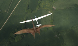 quetzalcoatlus pterosaur flying god pterodactyl largest wingspan land week pteranodon were dinosaurs dvd monsters 3d source populations paleo