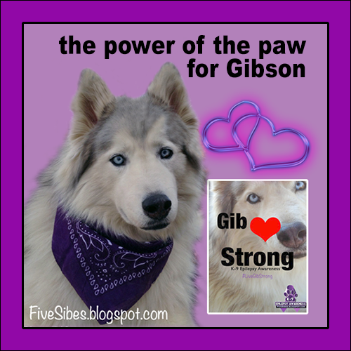 #Pawcircle of Prayers for Gibson