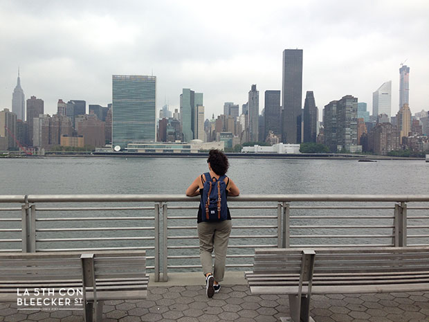 miradores de Nueva York granty plaza state park miradores de Nueva York granty plaza state park
