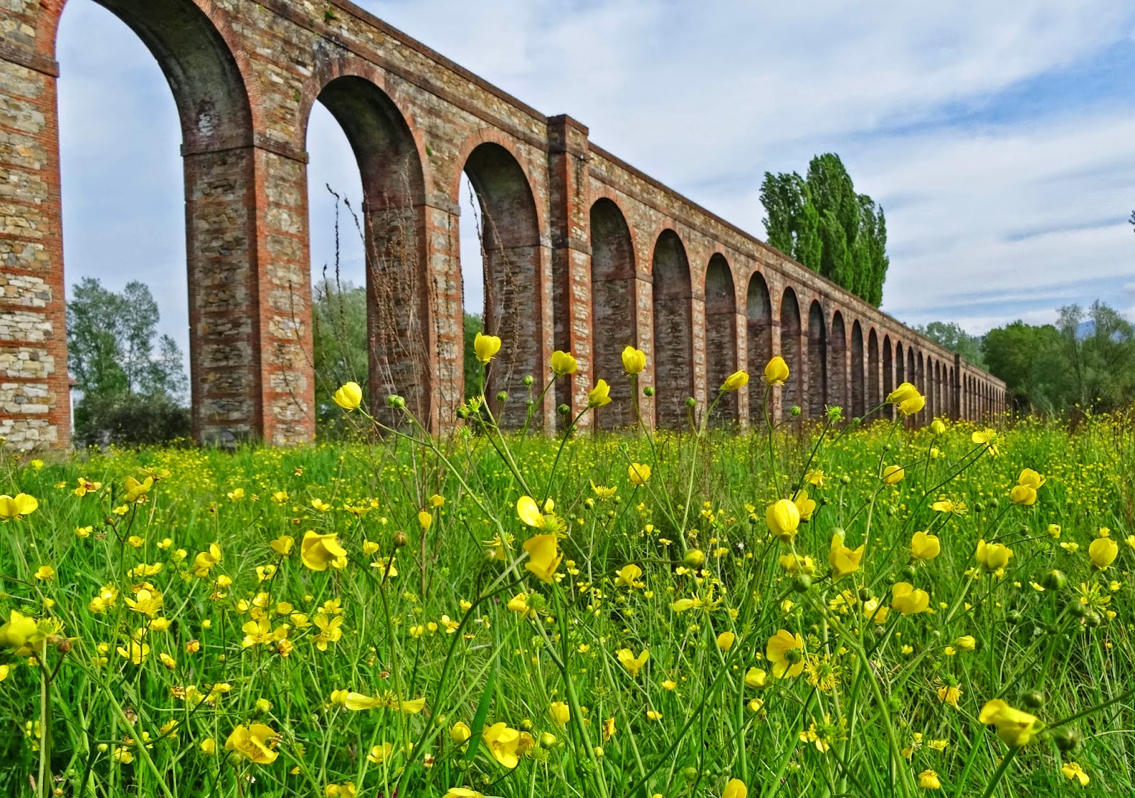 Joe’s Retirement Blog: Nottolini Aqueduct, Lucca, Tuscany, Italy