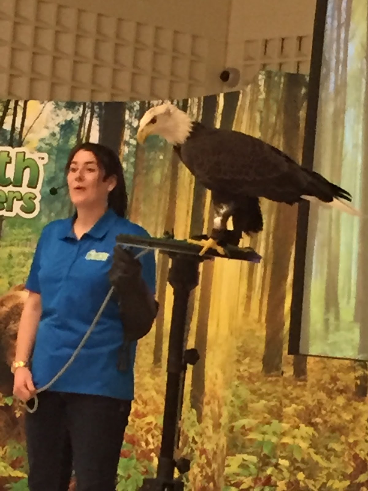 Silver Stream PS Blog Earth Rangers