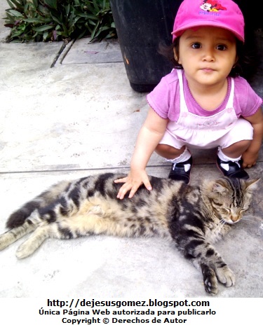 Niña con su gato Foto de una niña posando con su gato. Foto de gato de Jesus Gómez