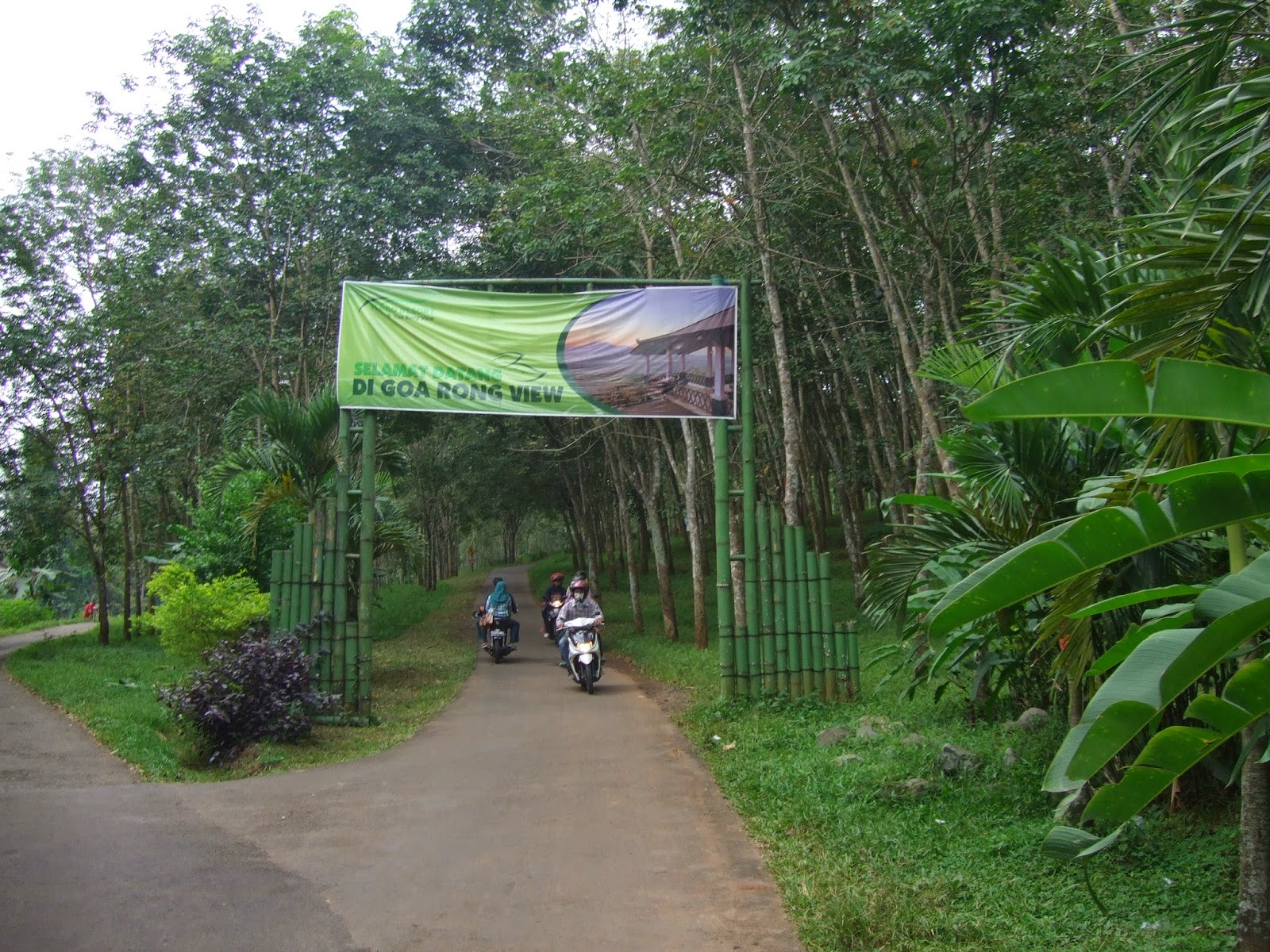 Goa Territory РІ РљРёС€РёРЅРµРІРµ