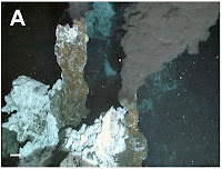 http://sciencythoughts.blogspot.co.uk/2012/01/new-deep-sea-hydrothermal-vent.html