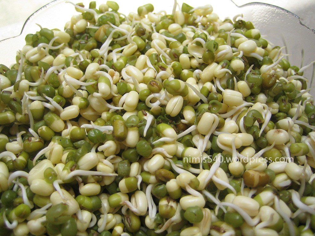 Sprouts / Cooking Moong Dal / Pesalu Health Benefits Health & Beauty