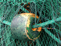 Net Floaters Net Floaters