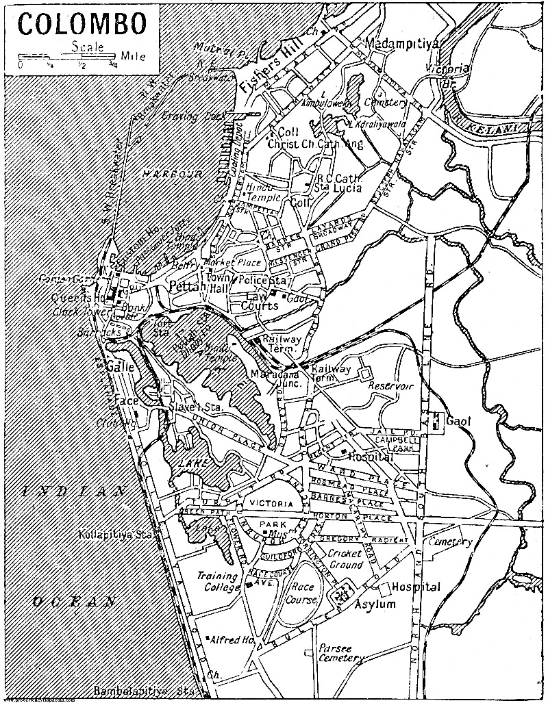 colombo.bmp