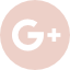 Google +