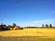 Harvesting in Finland