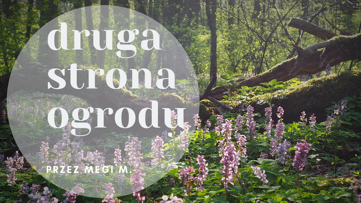 druga strona ogrodu