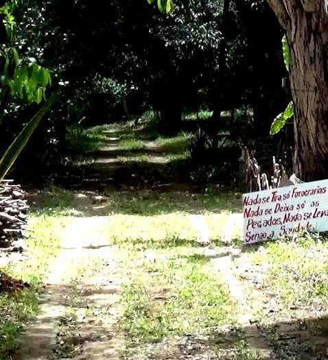 Bosque das Samambaias promove I Mostra Cultural e Terapêutica
