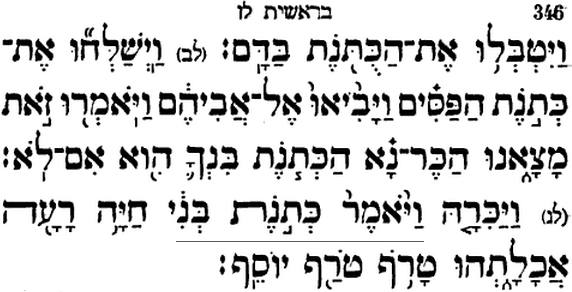 parshablog Ibn Caspi on the Zakef on כְּתֹנֶת בְּנִי