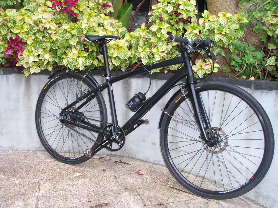 Bicycle Avanti Inc Alfine 11 Avanti Inc Review Avanti Inc New Arrivals