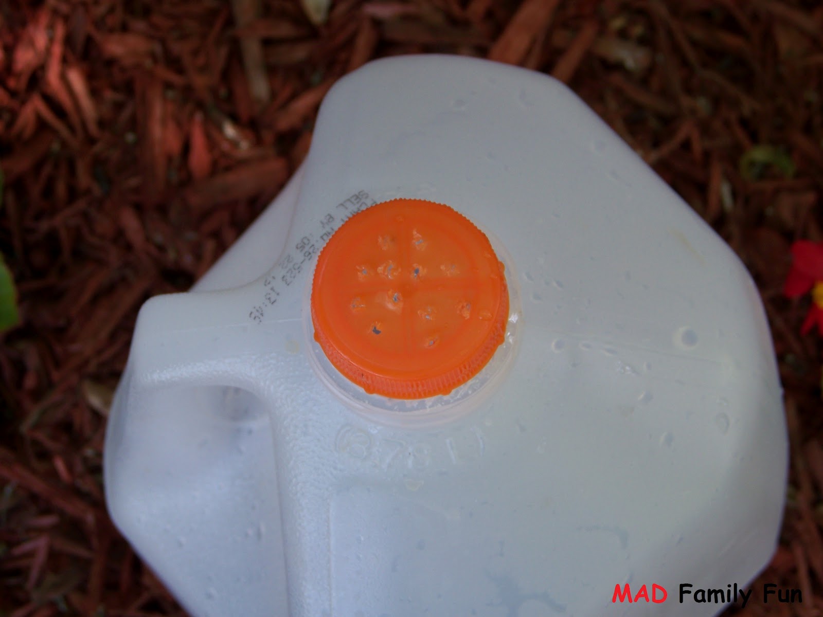 MAD Family Fun DIY Recycled Water Can