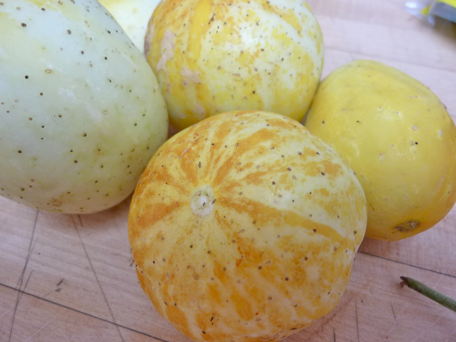 Heirloom Tomato and Lemon Cucumber Salsa – Diary of a Mad Hausfrau