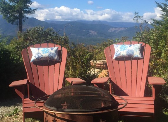 Shiner's view: Adirondack Chair Neck Pillows