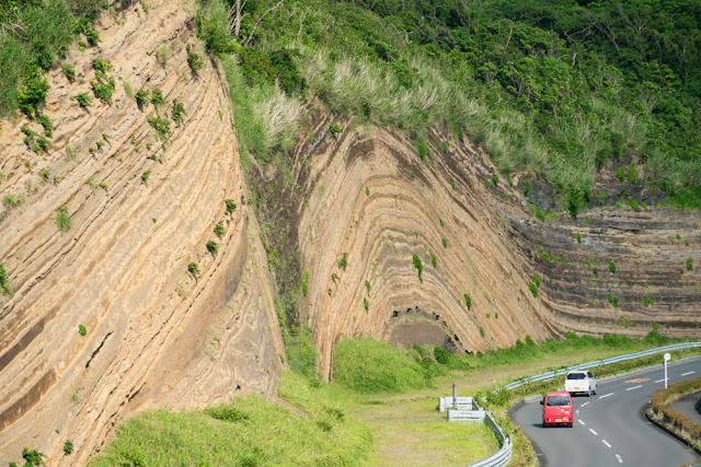 大島 地層大切断面 バウムクーヘン 大島 地層大切断面 バウムクーヘン