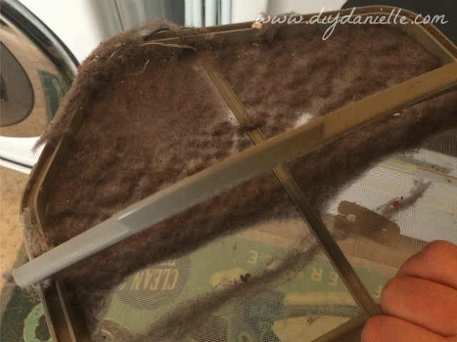 Remove all lint from the lint trap to avoid a house fire. Remove all lint from the lint trap.