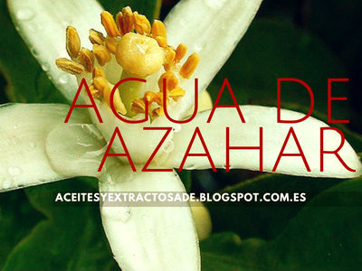 Agua de Azahar flor del naranjo, pero también puede ser limonero, del cidro y de cítricos.