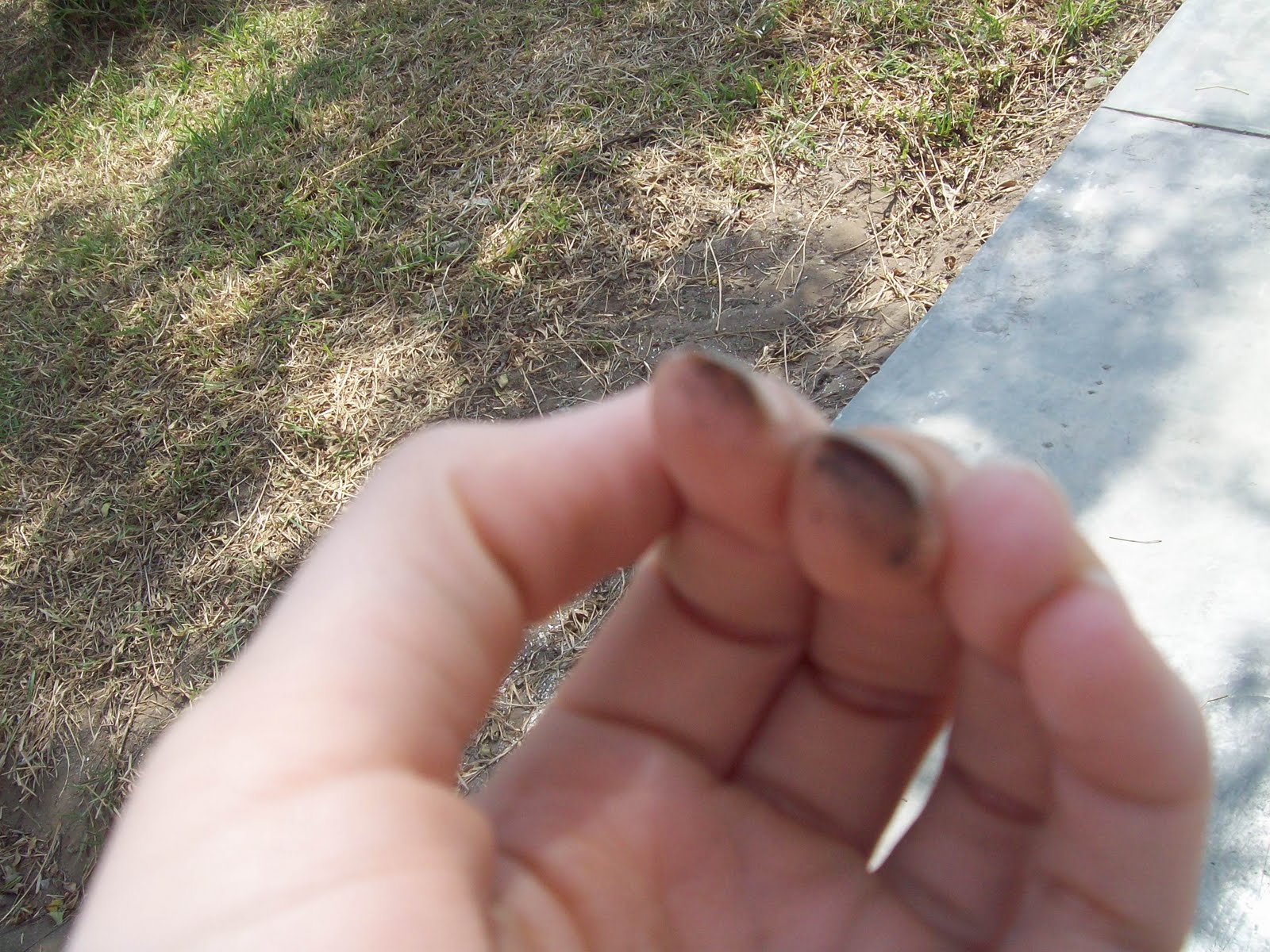 soundZtastee Dirt on my face