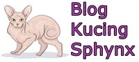 Blog Kucing Sphynx