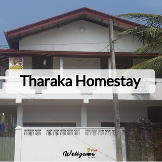 Tharaka Homestay | Homestays in Weligama Sri Lanka