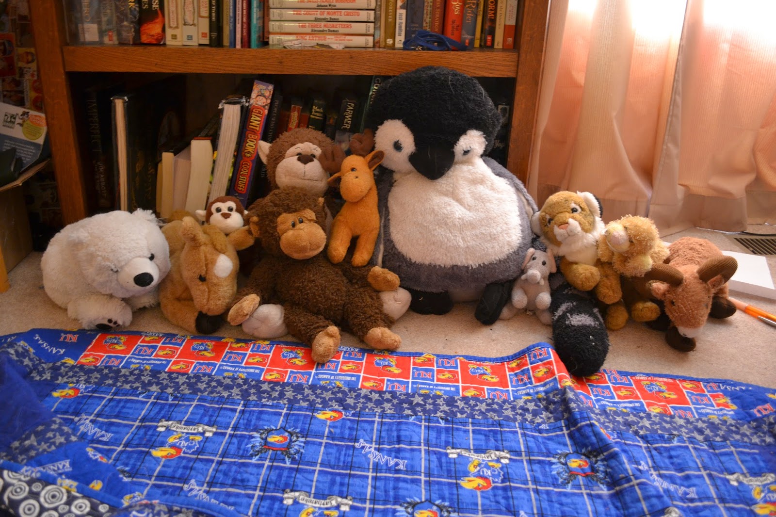 Stuffed Animal A Day Meet The Stuffed Animals