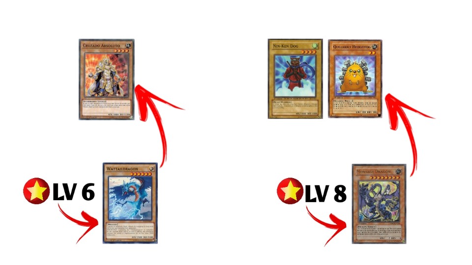 como fazer tribute summon - invocação por tributo