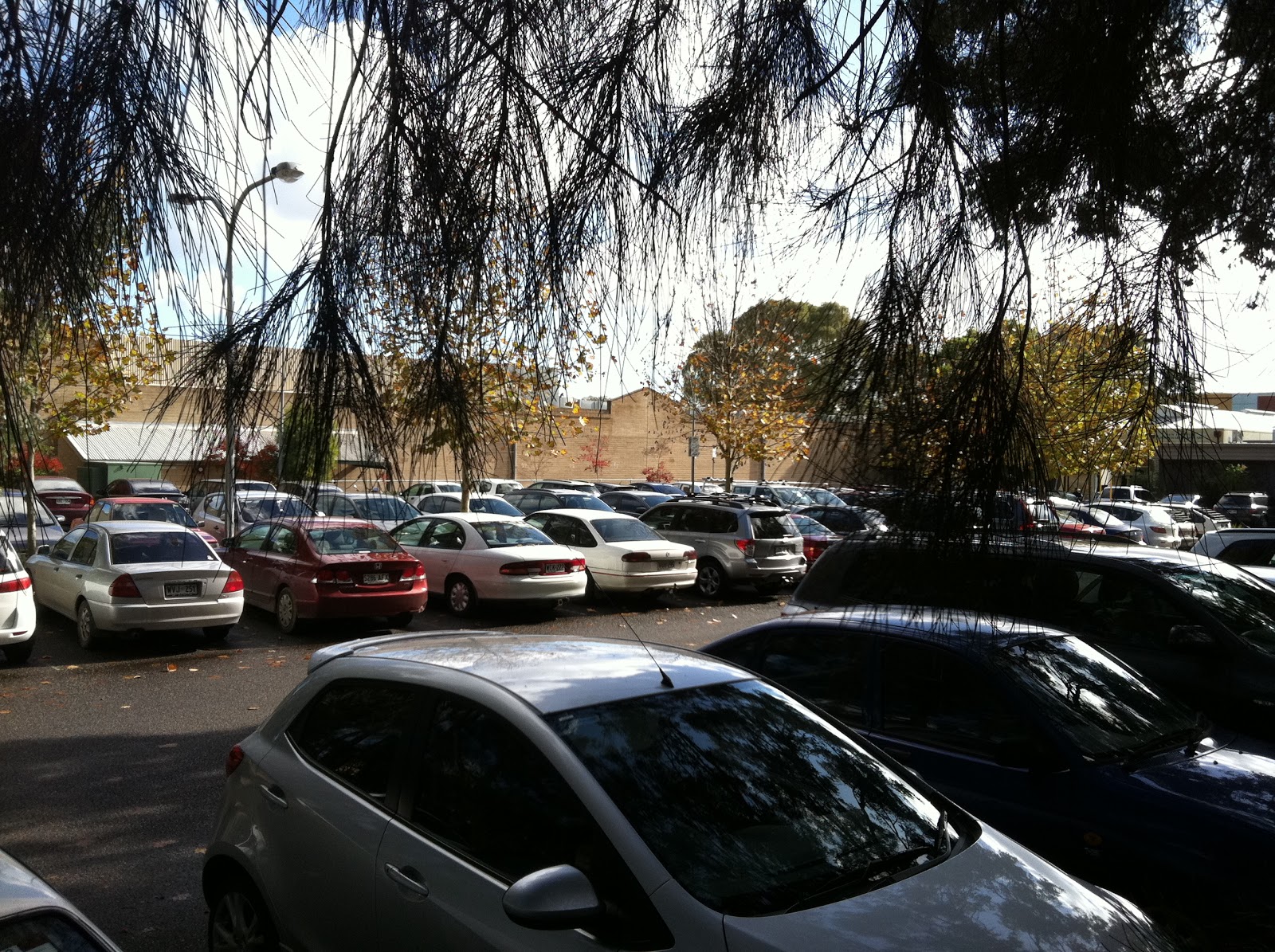 Bike Adelaide Norwood