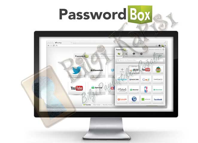  PasswordBox