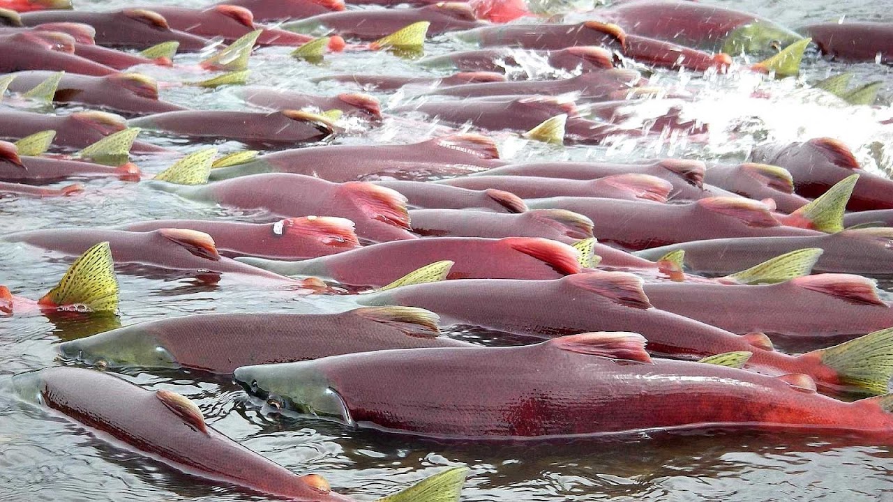 Mining business plan template image