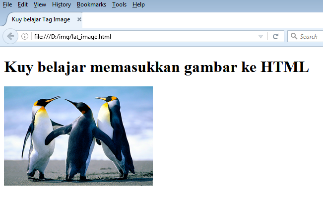 Cara Memasukkan Gambar di HTML
