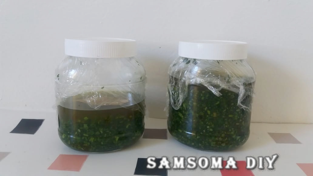 طريقة الحفاظ على الكزبرة والبقدونس طازجين لمدة طويلة بدون مجمد وبنكهة