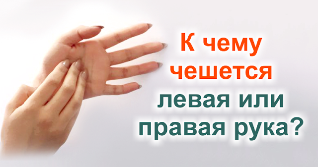 Результат пошуку зображень за запитом "Народная мудрость к чему чешется левая или правая ладонь"