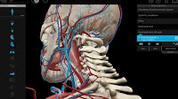 Anatomia del corpo umano 3D su internet