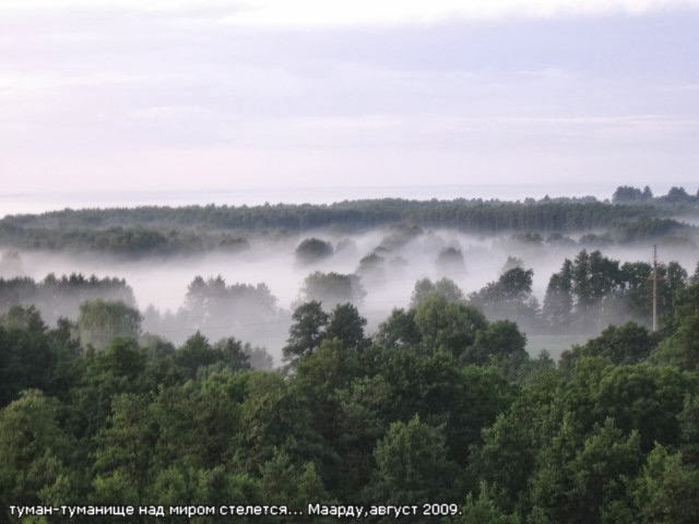 Песня туман туманище. Туман туманище над миром стелется текст. Слушать песню туман туманище над миром. Ярослав сумишевский  туман, туманище. Слушать песню туман туманище над миром.