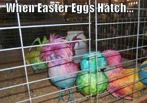 Cool Easter Memes