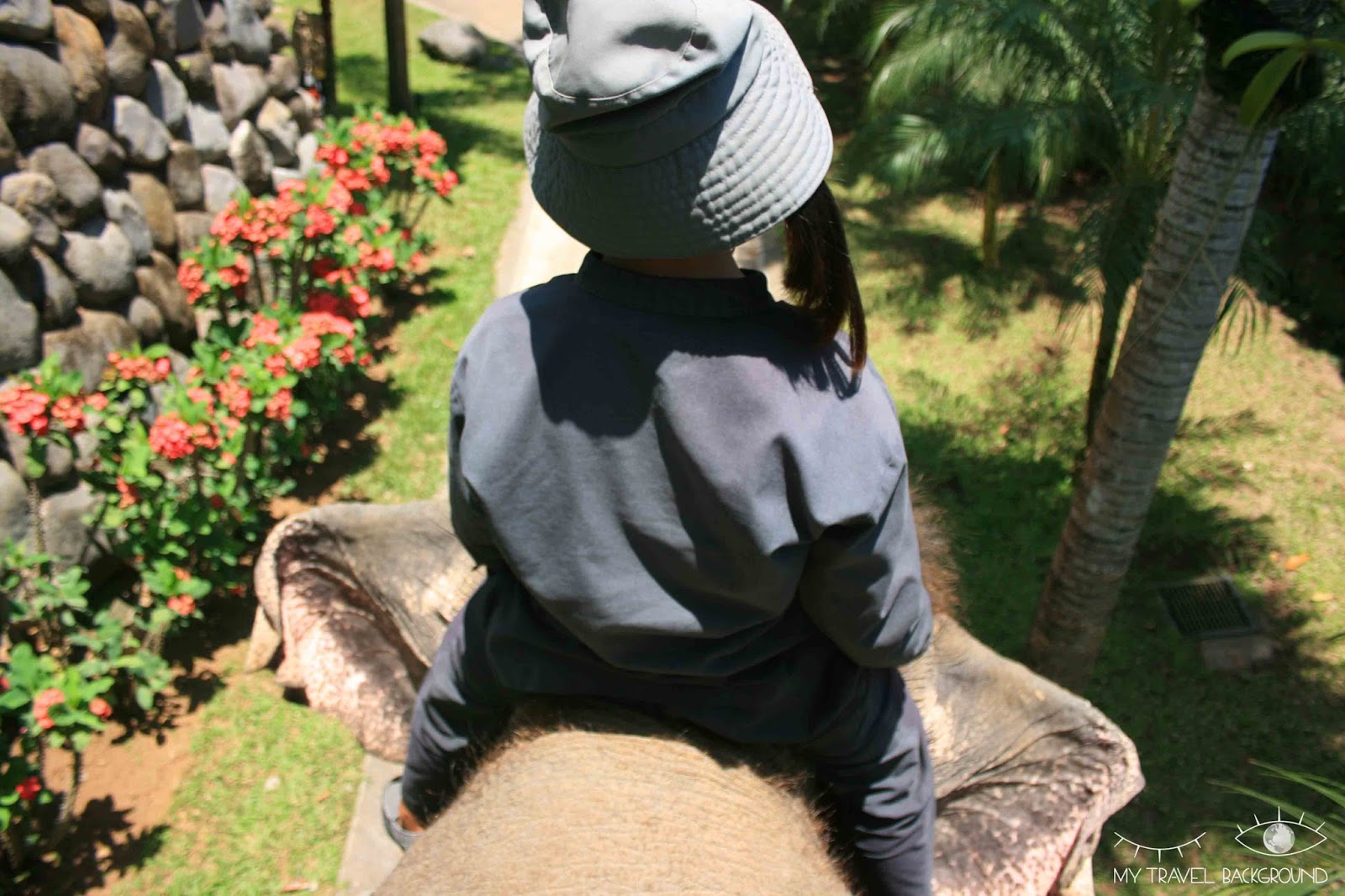 My Travel Background : 10 choses à faire à Bali - Se promener à dos d'éléphant