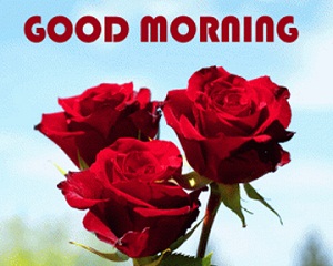 245 hd good morning wishes images wallpapers pictures photos