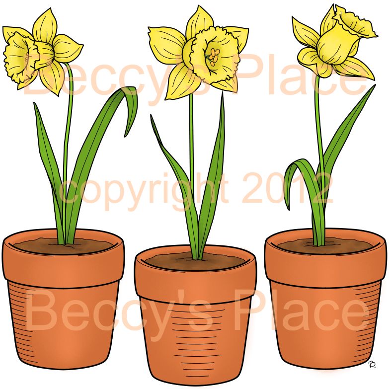 Beccy's Place June 2012