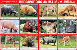 Spectrum Educational Charts: Chart 282 - Herbivorous Animals 2
