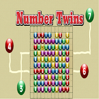 Number Twins