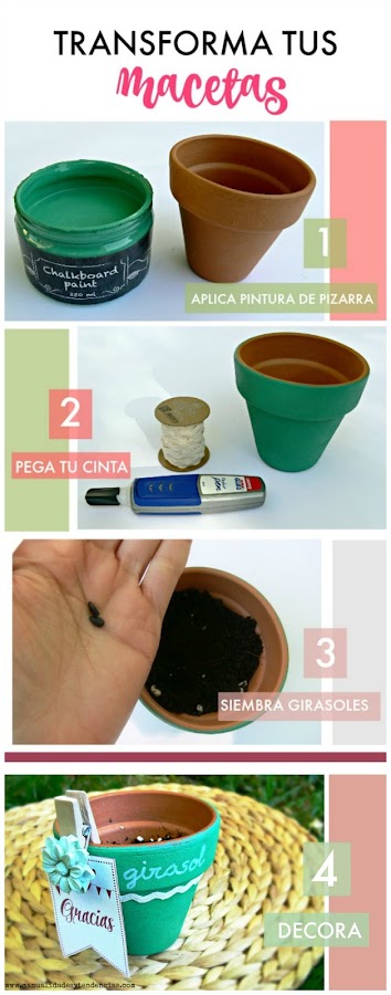 Cómo decorar macetas fácilmente