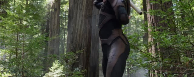 Cap4.jpg